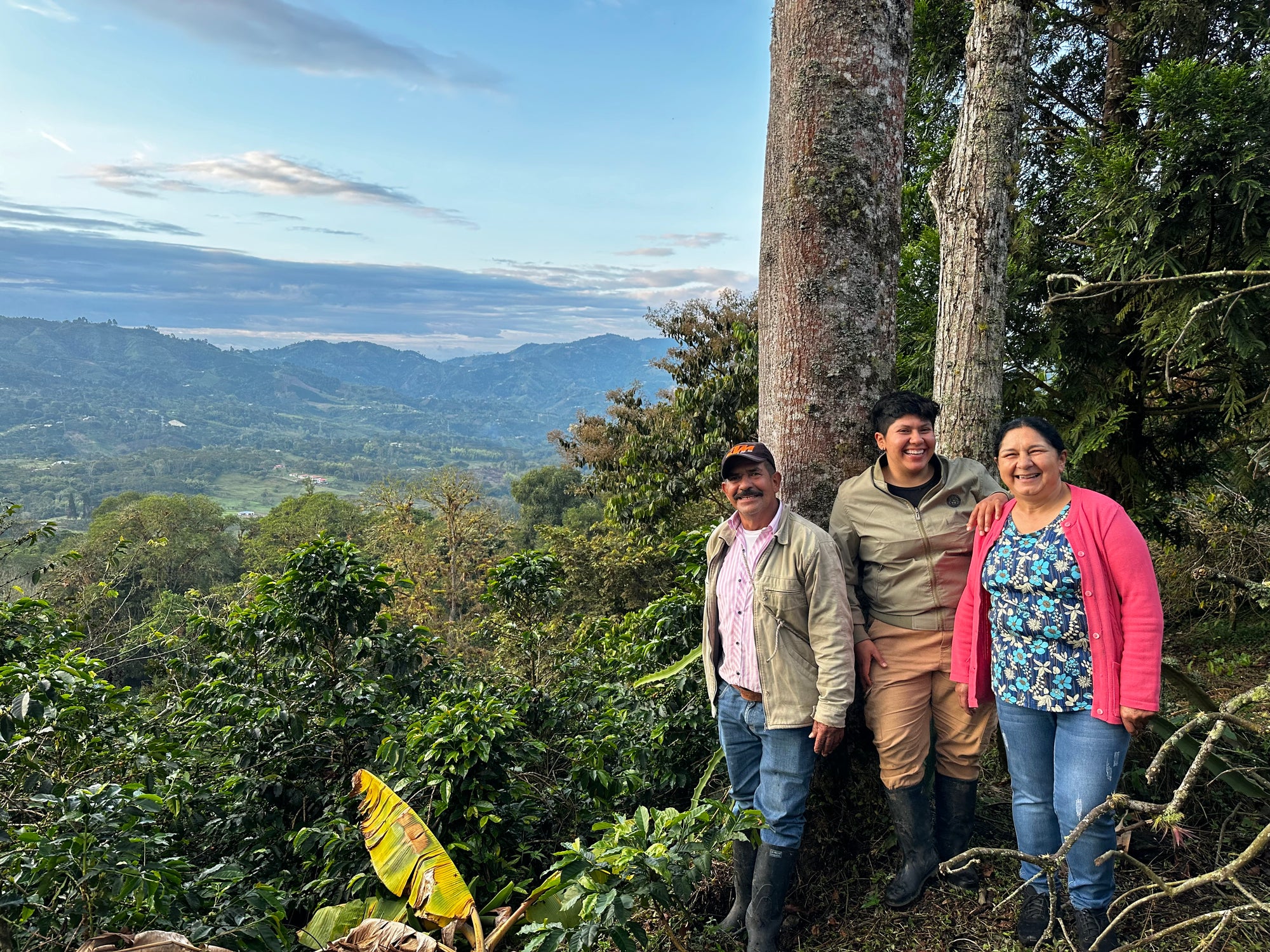 El Tesoro - Colombia - Washed Tabi