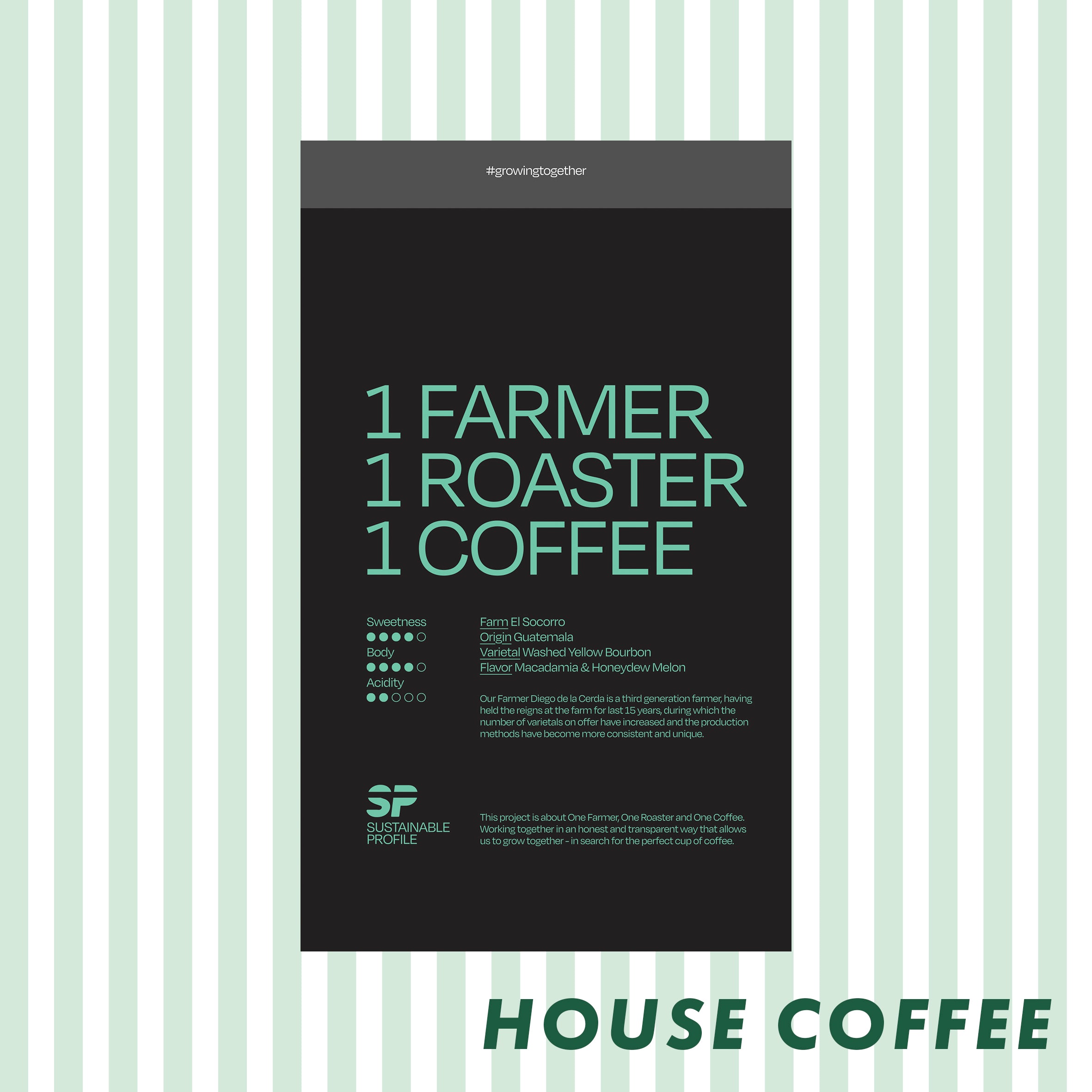 sustainable profile roasted coffee beans from guatemala, medium roast, april coffee roasters